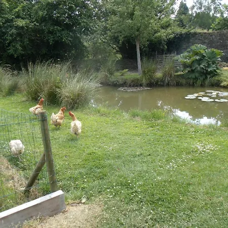 לינה וארוחת בוקר Le Tertre La Feuillie (Manche)